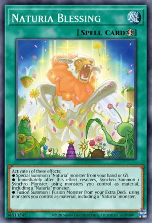 Naturia Blessing - (Darkwing Blast) - (DABL-EN064) - (Common)