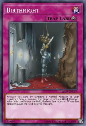 Birthright - (Starter Kaiba Reloaded) - (YSKR-EN047) - (Common)