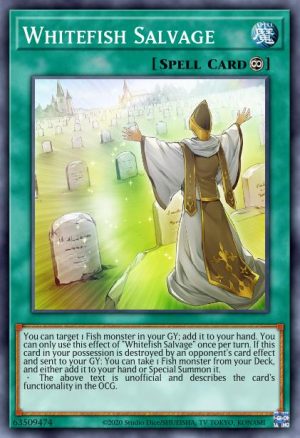 Whitefish Salvage - (Dark Neostorm) - (DANE-EN098) - (Rare)