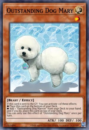 Outstanding Dog Mary - (Burst of Destiny) - (BODE-EN035) - (Common)