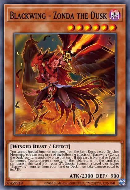 Blackwing - Zonda the Dusk - (Darkwing Blast) - (DABL-EN005) - (Common)