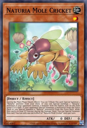 Naturia Mole Cricket - (Darkwing Blast) - (DABL-EN020) - (Common)